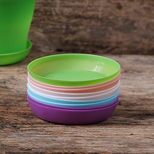 TDHDIKE 10 Pcs Plastic Planters Indoor Pots with Pallet - color: Pink / White / Purple / Blue / Green