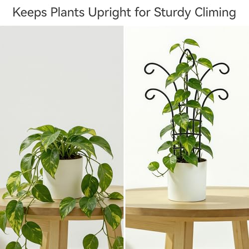 4 Pack Small Plant Trellis for Potted Plants, Metal Climbing Plant Support