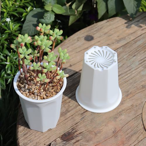 14 Pack 4.40 Inch White Plastic Deep Nursery and Seedling Pots, Round Planter Container for Transplanting, Cutting, Succulent - color: White, size: 4.40 inch