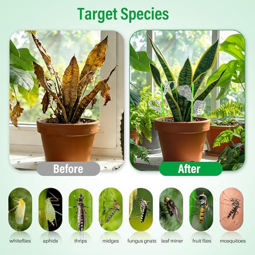 100 Pcs Gnat Sticky Traps for Plants, Sticky Traps for Gnats with 20 Stakes to Control, Aphids, Plant Bug, Mosquito Bits and Whiteflies(Transparent) - color: Transparent