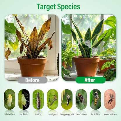 100 Pcs Gnat Sticky Traps for Plants, Sticky Traps for Gnats with 20 Stakes to Control, Aphids, Plant Bug, Mosquito Bits and Whiteflies(Transparent) - color: Transparent