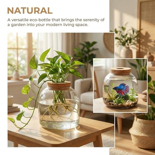 NUOBESTY Glass Terrarium Jar with Cork Lid, Hydroponic Plant Propagation Vase, Clear Round Betta Fish Bowl Tank for Moss Succulent Indoor Desktop Home Decor