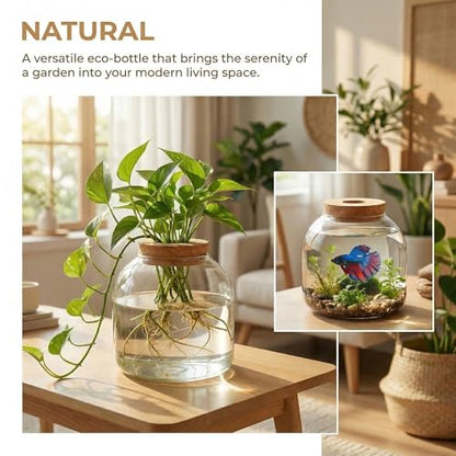 NUOBESTY Glass Terrarium Jar with Cork Lid, Hydroponic Plant Propagation Vase, Clear Round Betta Fish Bowl Tank for Moss Succulent Indoor Desktop Home Decor