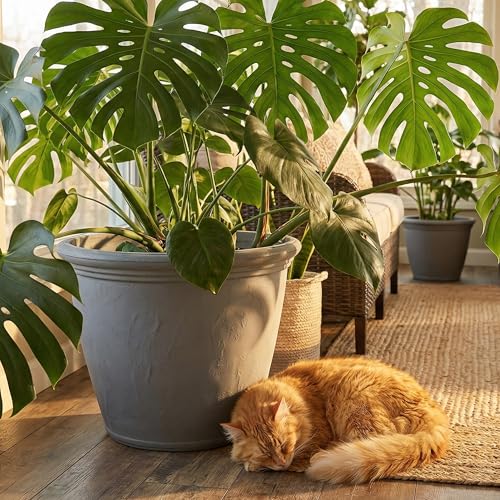Sunnydaze Anjelica 24'' Large Plastic Planter Pot for Plants, Gray - color: Light Gray, size: 24 in