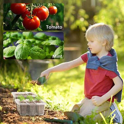Bonviee 10-Pack Seed Starter Trays, Tall Dome, Base, 12-Cell Tray, Clear - color: Clear, size: 10 Packs