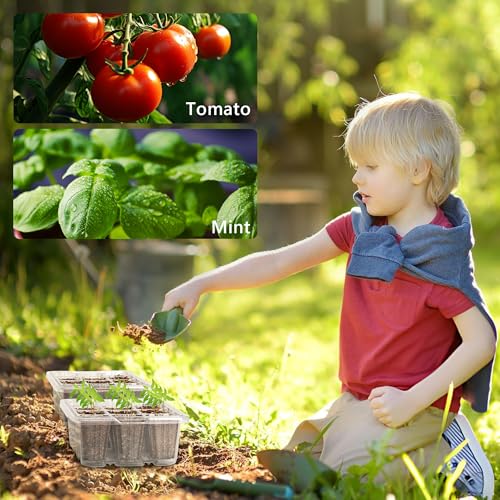 Bonviee 10-Pack Seed Starter Trays, Tall Dome, Base, 12-Cell Tray, Clear - color: Clear, size: 10 Packs (120 Cells)
