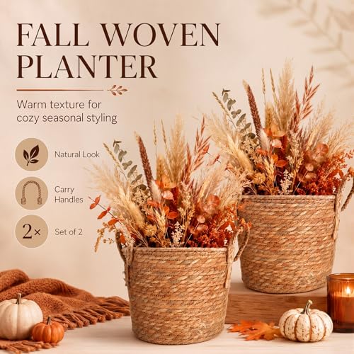 Novabright 2 Pcs Fall Woven Basket Planter, Wicker Planter, 12'', Natural - size: 12''