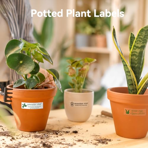 NIIMBOT Plant Label 13×45mm (0.51'' x 1.77''), Only for N1(B18) Label Maker - color: 0.51''×1.77''-clear Gardening