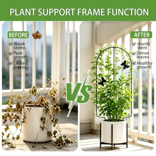 2 Pack 31 Inch Trellis for Climbing Plants Indoor, Rustproof Garden Metal Trellis for Potted Plants Outdoor, Sturdy and Durable Plant Support for Climbing Plants Such as Ivy, Monstera and Pothos - size: 31in