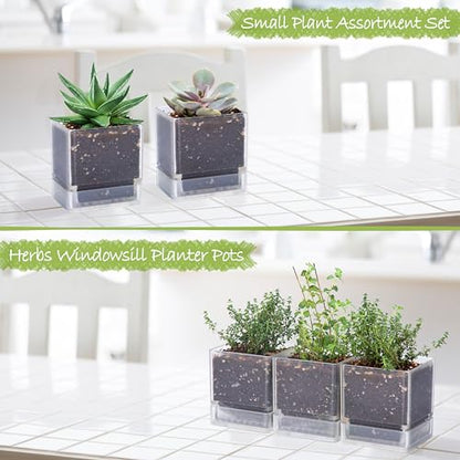 D'vine Dev 3-Pack Acrylic Herb Planter Pots, 4 in, Clear, 76-Y-D-1 - color: Clear, size: 12 Inch x 4.5 Inch