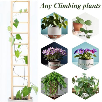 1Pcs Indoor Plant Trellis – Durable Wooden Support for Climbing Plants - size: 25" H