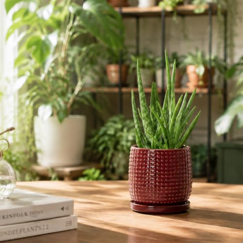D'vine Dev Beaded Ceramic Pot with Saucer, 4 in, Burgundy Red, 27-C-Z-M - color: Burgundy Red, size: 4.3 Inch