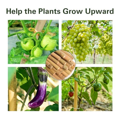 Bamboo Stakes 7 Feet, 84 inch Garden Stakes Multi-Purpose, Bamboo Plant Support Stakes for Tomatos, Beans, Cucumbers, Peppers, Potted Trees, Maintain the Plant Posture, Strengthen and Stem - size: 7FT,Pack of 15