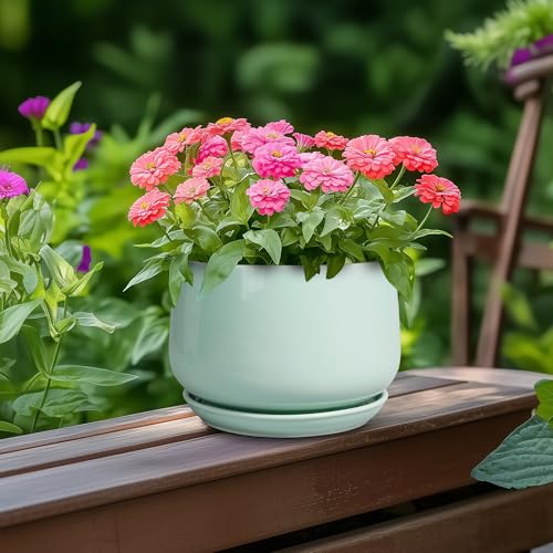 G EPGardening Ceramic Plant Pots, 6 Inch Pot for Plants, Green - color: Mint Green, size: 5 Inch