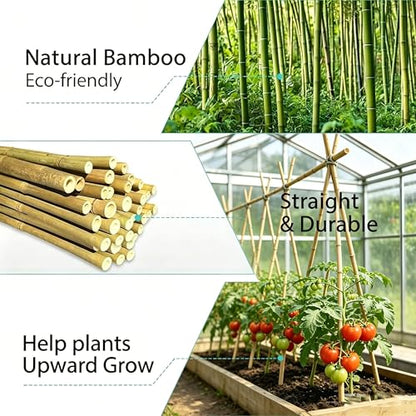 Bamboo Stakes with Jute Twine, 6FT Garden Stakes Multi-Purpose, Plant Stakes for Tomatoes, Beans, Cucumbers, Peppers, Flowers, Potted, Maintain the Plant Posture, Strengthen and Stem