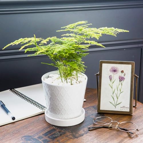 BUYMAX 5in Ceramic Flower Pots Set of 4 Plant Pot with Drainage Hole - color: White
