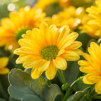 CLEANGOR 12 Pcs Daisy Artificial Flowers for Outdoors, Fake Mums (Yellow) - color: Yellow