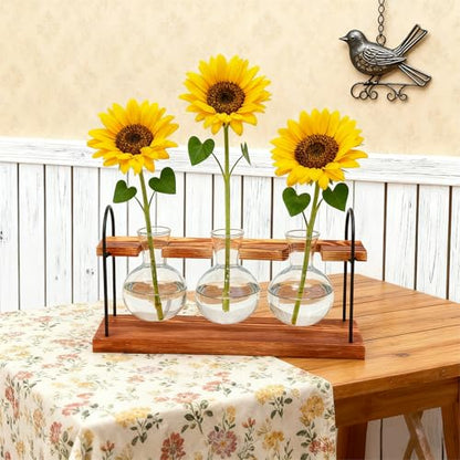 Plant Terrarium with Wooden Stand, Birthday Gift for Women Mom Plant Lover