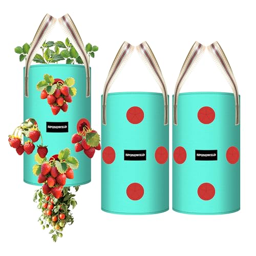 3 Pack 10 Gallon Hanging Strawberry Planter Bags for Tomatoes - size: 10 Gallon