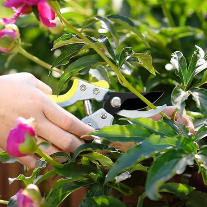 Tree Branch Cutter Garden Shears Set, Loppers for Tree Trimming Heavy Duty