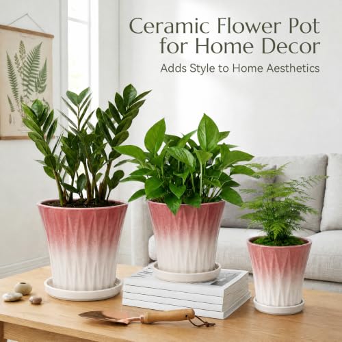 Ceramic Pots for Plants with Saucer(Pink, 6.7 Inch) - color: Pink, size: 6.7 Inch