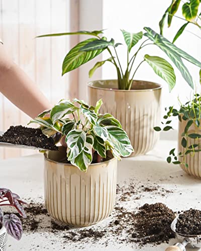 LE TAUCI Ceramic Pots for Plants, 8.3/7/6 Inch Indoor Planters with Drainage Holes & Mesh, Modern Glossy Glaze Cylinder Fluted Plant Pot for Snake Plant, Set of 3, Sand Beige - color: Sand Beige