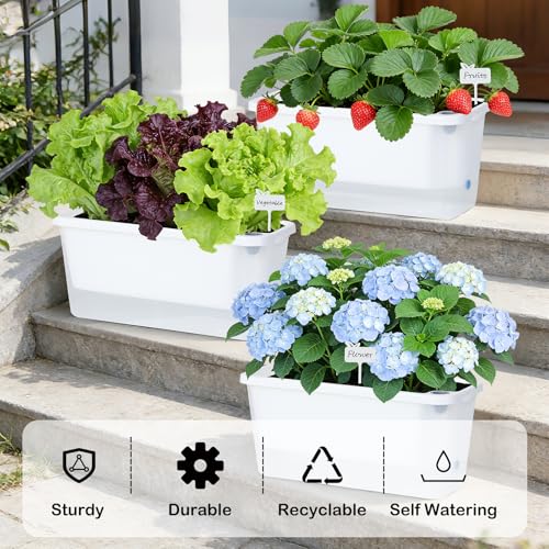 Oliz Window Box Planter 4 Packs, 14 Inches Rectangle Flower Pots with Breathable Drainage Holes, Pots for Vegetables, Herbs, Flowers, Garden Windowsill Balcony (Translucent White) - color: Translucent White