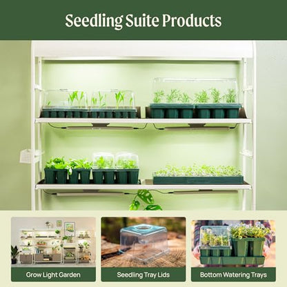 Vego garden Standard Seedling Trays Without Lids, 16 Pack for Seedlings Reusable Propagator Growing Starter Tray, Germination Trays Kit for Greenhouse/Garden (8-Cell per Tray) - size: 16 Packs, style: 8 Cells Standard Size