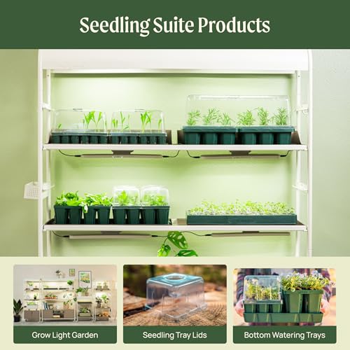 Vego garden Standard Seedling Trays Without Lids, 64 Pack for Seedlings Reusable Propagator Growing Starter Tray, Germination Trays Kit for Greenhouse/Garden (8-Cell per Tray) - size: 64 Packs, style: 8 Cells Standard Size