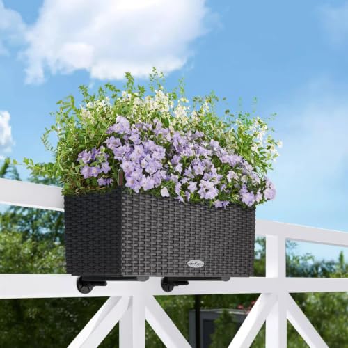 Balconera Rail & Balcony Brackets, White - color: White