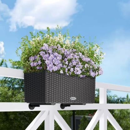 Balconera Rail & Balcony Brackets, White - color: White
