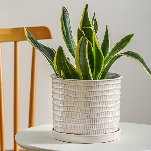 8 Inch Ceramic Planter with Drainage Hole & Bonded Saucer - color: Wave Embossed, size: 8 inch