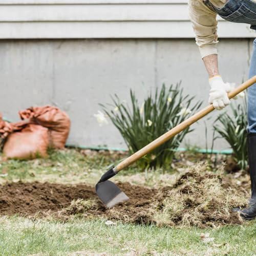 BESPORTBLE Heavy Duty Garden Hoe Tool for Weeding and Soil Loosening Solid Steel Construction Compact 7.28 Inch Hand Hoe for Backyard Gardening and Agricultural Use - size: 18.50X18.50X11.50CM