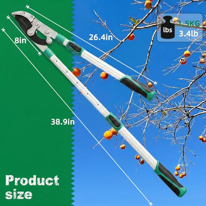 Heavy Duty Anvil Lopping Shears -2 inch Cutting Capacity Bypass Lopper - Extendable 26 Inch to 41 Inch,Professional Tree Branch Cutter