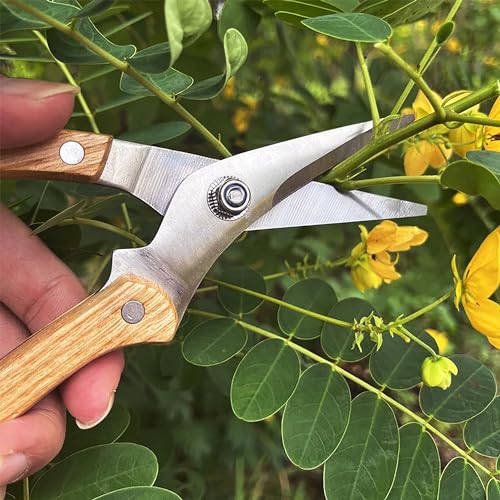 BUGUI Wood Handle Garden Shears, Long Straight Tip, All Steel Construction, Sharp, Well Designed Garden Scissors, 8" - style: 8"WoodHandleShears(E011)