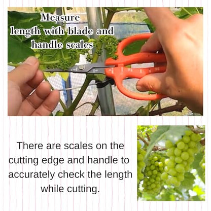 CHIKAMASA B-500SF Japanese Gardening Shears (2-Pack) with a Bonus Microfiber Cleaning Cloth - Fluorine Coated Stainless Steel Precision Trimmers for Grapes, Herbs, and Bonsai