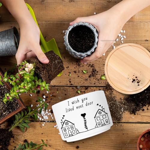 Friend Gifts for Women, Cute Succulent Plant Pot (Plants Not Included) - style: I wish