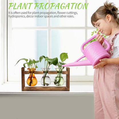 Plant Propagation Station Plant Terrarium Unique Birthday Gifts for Women - color: Color04