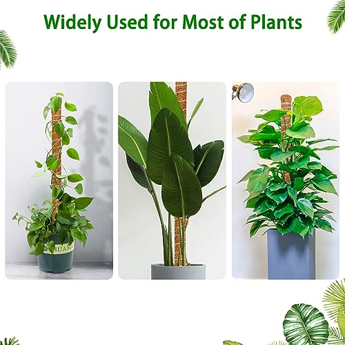 3 Pack 35.4'' Moss Pole for Monstera, Bendable Coco Coir Plant Support Stakes - size: 3 Pack（35.4-Inch）