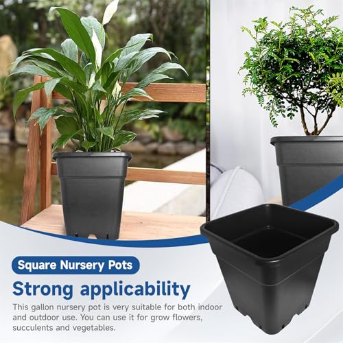 WFLNHB 5 Gallon Square Pot Square Plastic Plant Pots 10 Pcs Nursery Pot - color: Black, size: 5 Gallon-10 Pcs