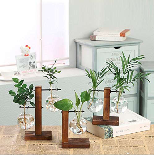 Kingbuy Hydroponic Glass Vase with Retro Wooden Stand - size: B（2 Bulb Vase）