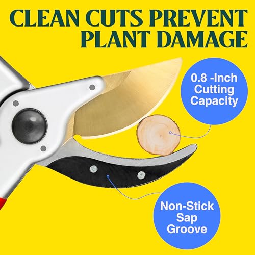 Haus & Garten PrecisionPRO 8" Titanium Pruning Shears - Heavy Duty Professional Bypass Pruner - Use As Rose Clippers, Premium Gardening Secateurs, Garden Scissors, Handheld Yard, Tree, & Plant Tool - style: PrecisionPRO