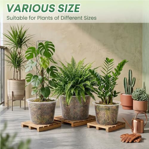 4 Sets 10 Inch Large Clear Nursery Pots with Drainage Holes - color: 10 Inch