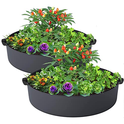 ZtohPyo 2-Pack 50 Gallon Plant Grow Bags, Large Fabric Raised Garden Bed with Handles,Durable Garden Beds Planters Aeration Gardening Container to Grow Vegetables for Outdoor Plants - size: 2-pack 50 Gallon