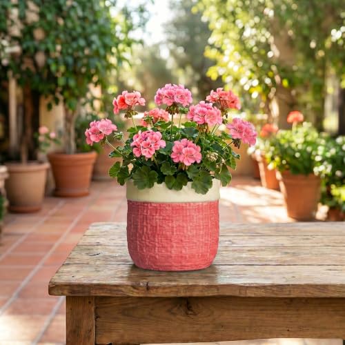 6 Inch Pots for Plants, Ceramic Planter, Round Flower Pots, Red - color: Red, size: 6 Inch
