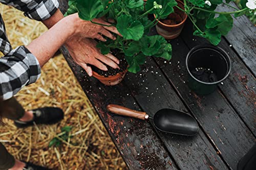 Barebones Garden Scoop - Garden Spoon - Stainless Steel Small Hand Shovel for Transplanting, Digging, and Planting - Great Home Gardening Hand Tools (Walnut/Black) - color: Walnut/Black, size: Garden Scoop