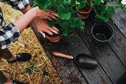 Barebones Garden Scoop - Garden Spoon - Stainless Steel Small Hand Shovel for Transplanting, Digging, and Planting - Great Home Gardening Hand Tools (Walnut/Black) - color: Walnut/Black, size: Garden Scoop