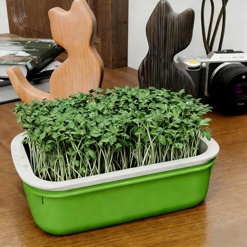 Plastic Double-Layer Plant Growing Nursery Pots Vegetable Flower Seedlings Tray Soilless Germination Plate Garden Tools,16.5 * 10.5 * 5.5cm(1 pc) - color: 1 Pc