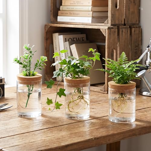 Kifmurase 8pcs Glass Propagation Stations, Desktop Glass Flower Vases for Propagating Hydroponic, 4 Large & 4 Small Propagation Vase for Plant Growing Hydroponic Indoor Home Office Tabletop Decor