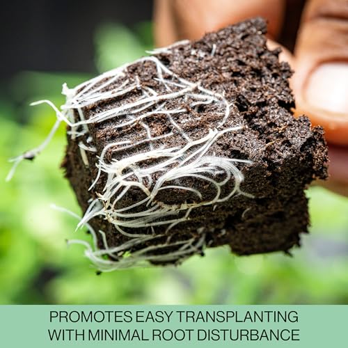 The Hydroponic City Seed Starter Trays, 216-Cell Seedling Starter Trays (36 Trays - 6 Cells Each) + Plant Stakes - size: 36 Trays (216 Cells)